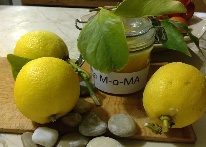 La Moma 2